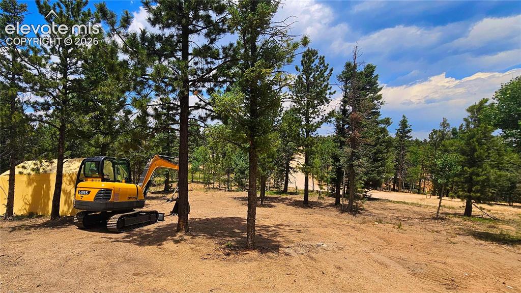19 Aster Road Woodland Park CO 80863