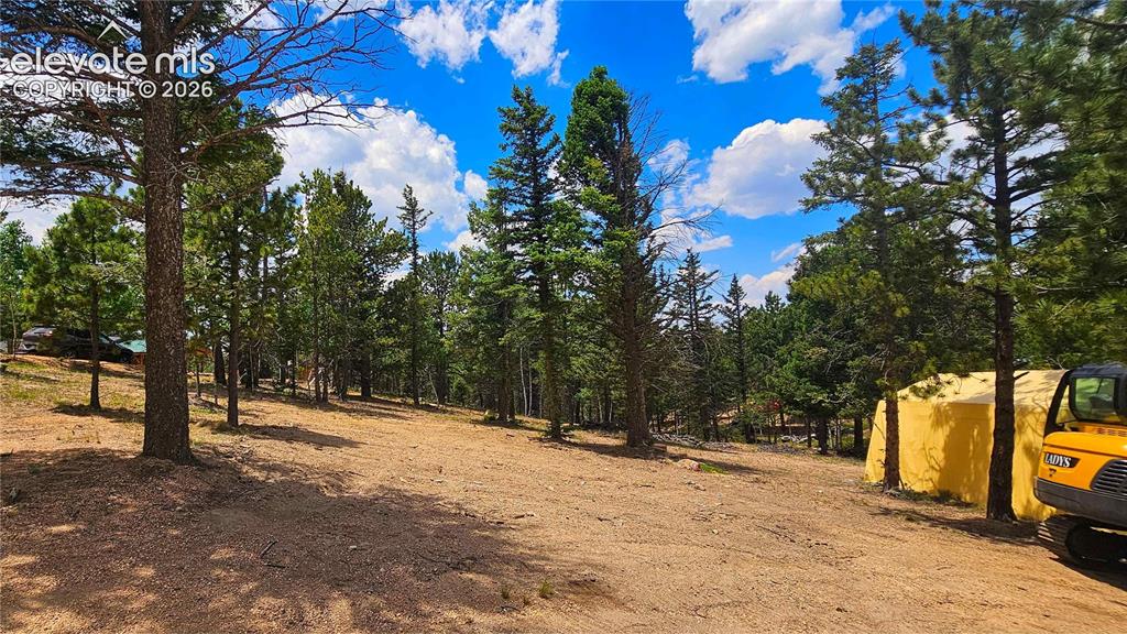 19 Aster Road Woodland Park CO 80863