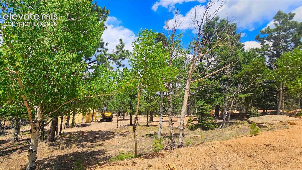 19 Aster Road Woodland Park CO 80863