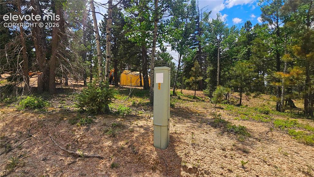 19 Aster Road Woodland Park CO 80863