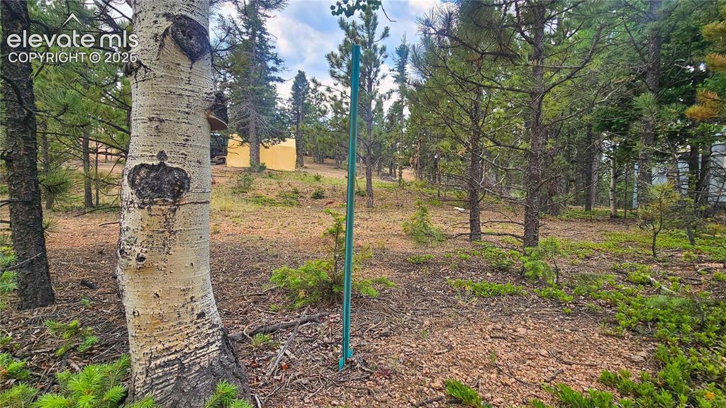 19 Aster Road Woodland Park CO 80863