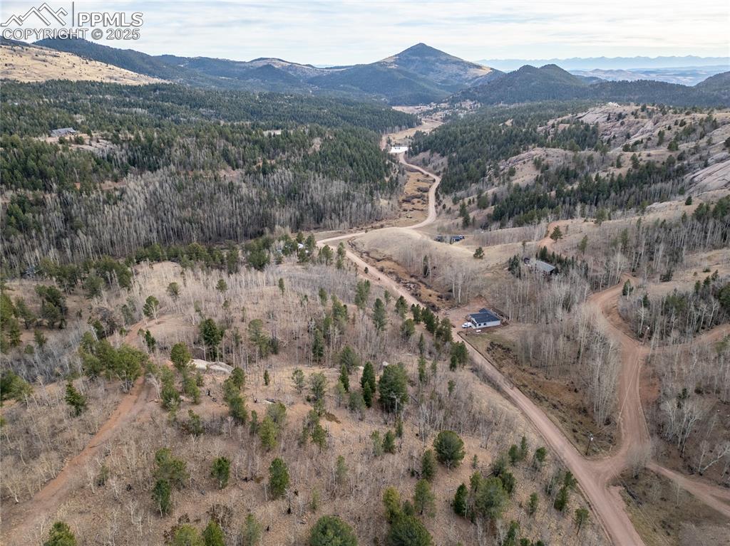 276 Granite Lane Cripple Creek CO 80813