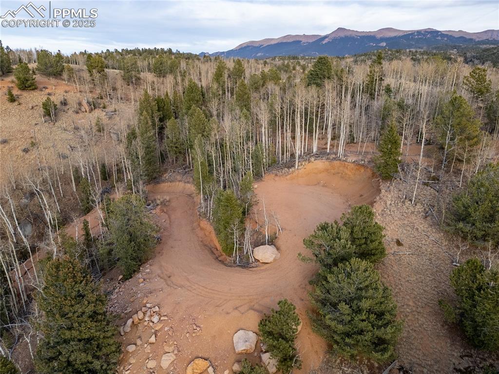 276 Granite Lane Cripple Creek CO 80813