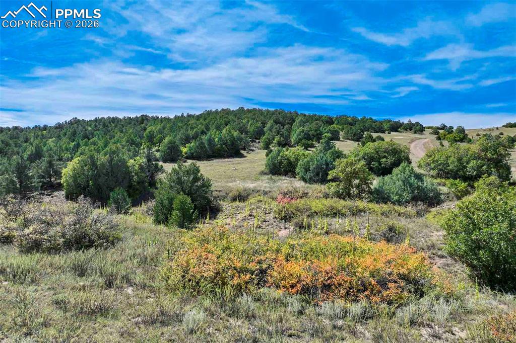 10719 County Road 69 Canon City CO 81212