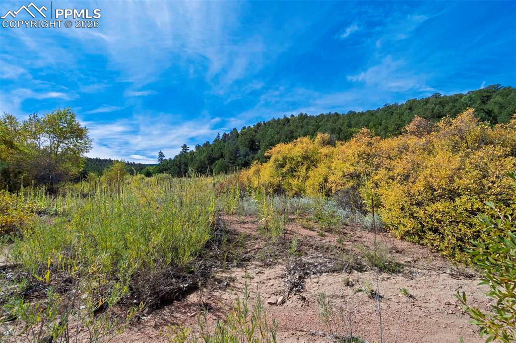 10719 County Road 69 Canon City CO 81212