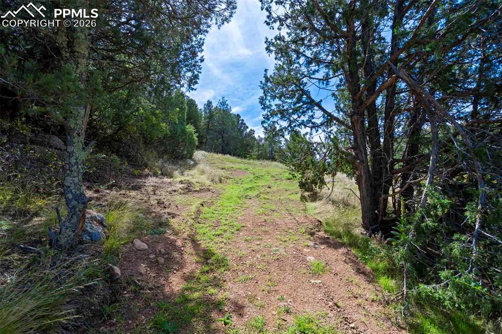 10719 County Road 69 Canon City CO 81212