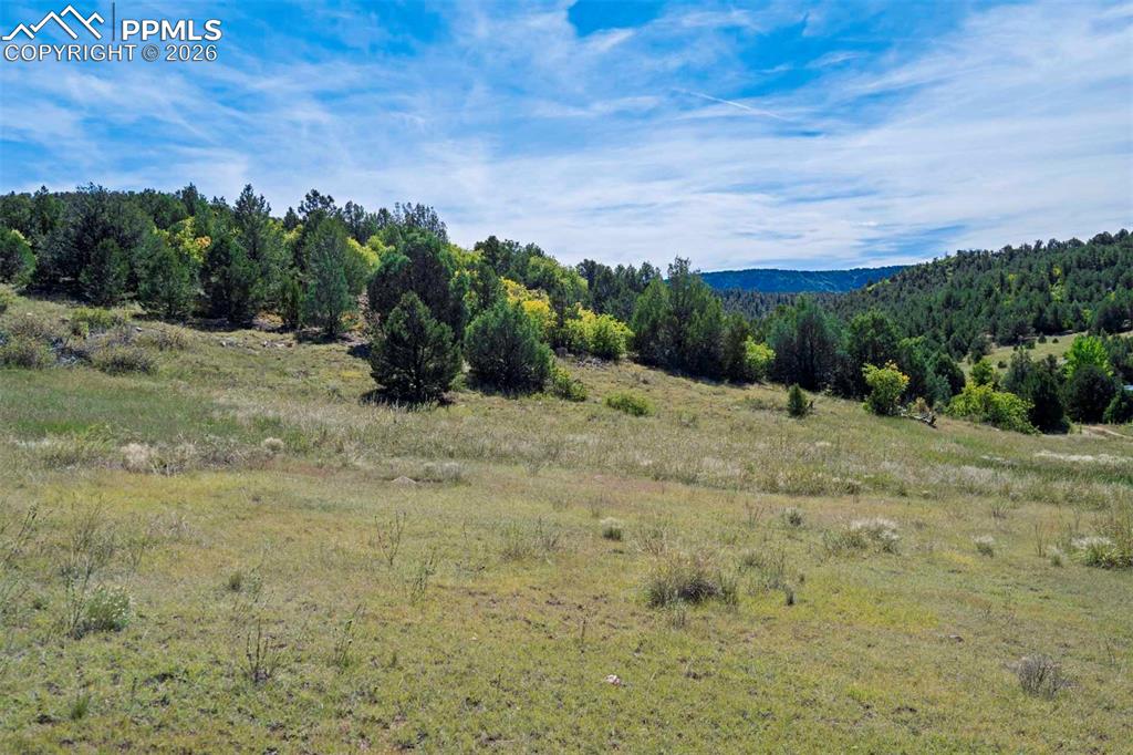 10719 County Road 69 Canon City CO 81212