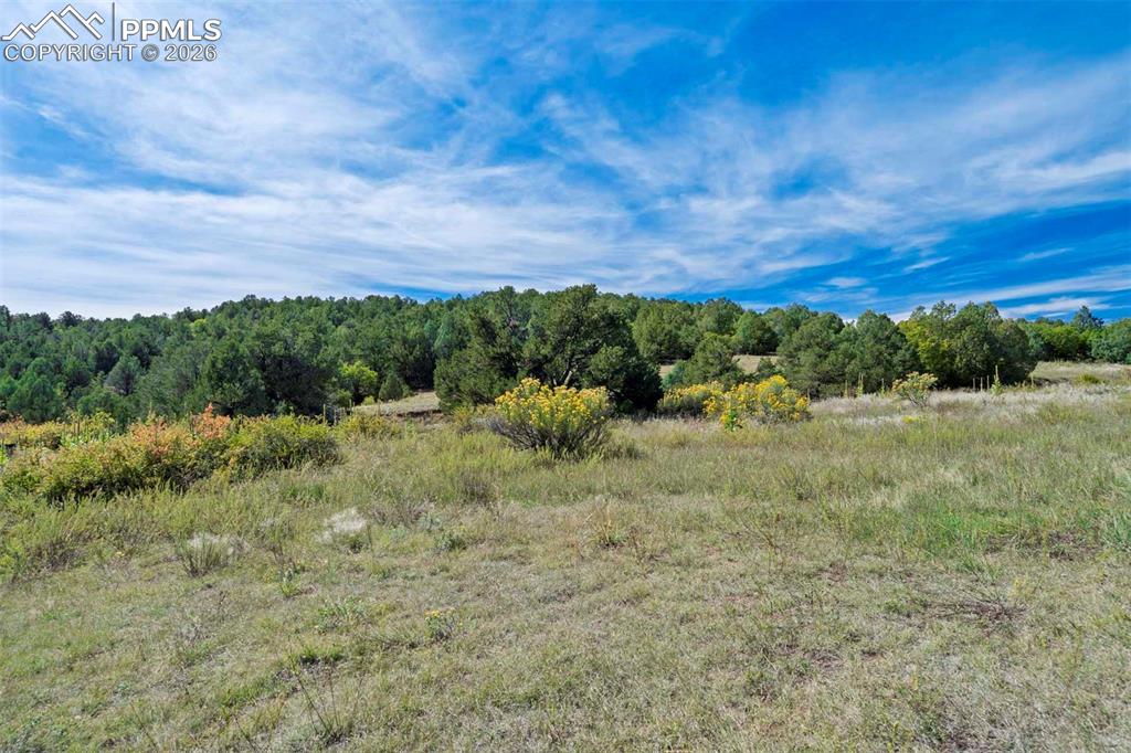 10719 County Road 69 Canon City CO 81212