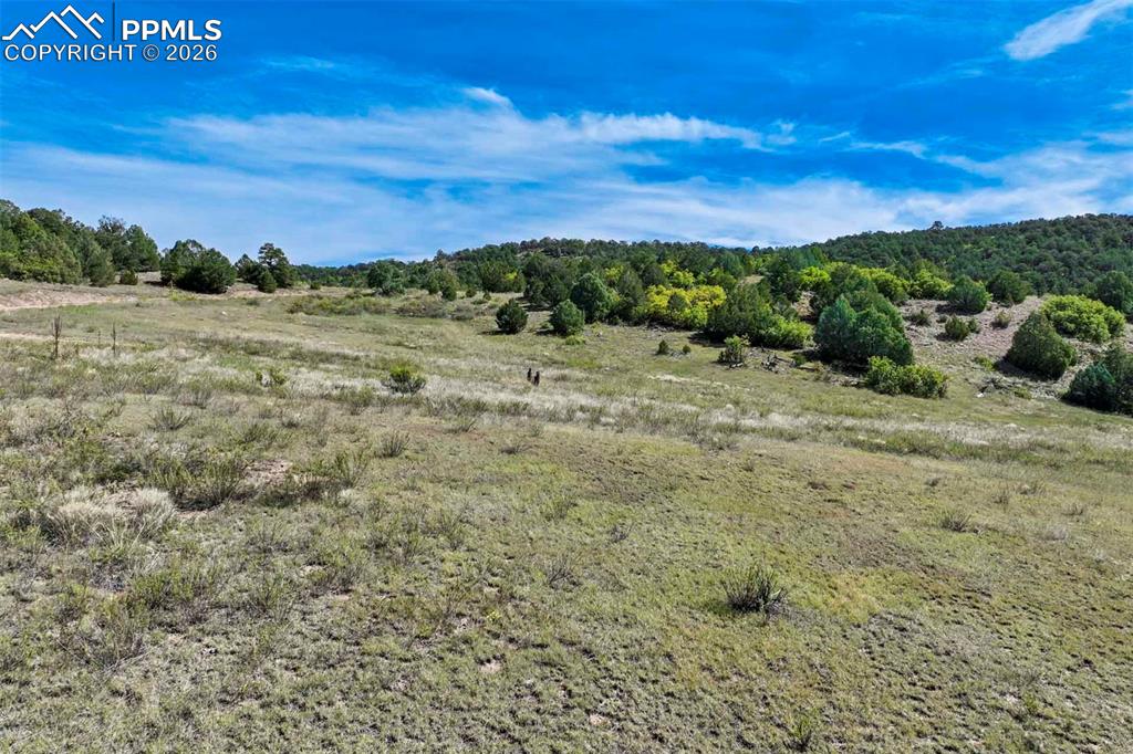 10719 County Road 69 Canon City CO 81212