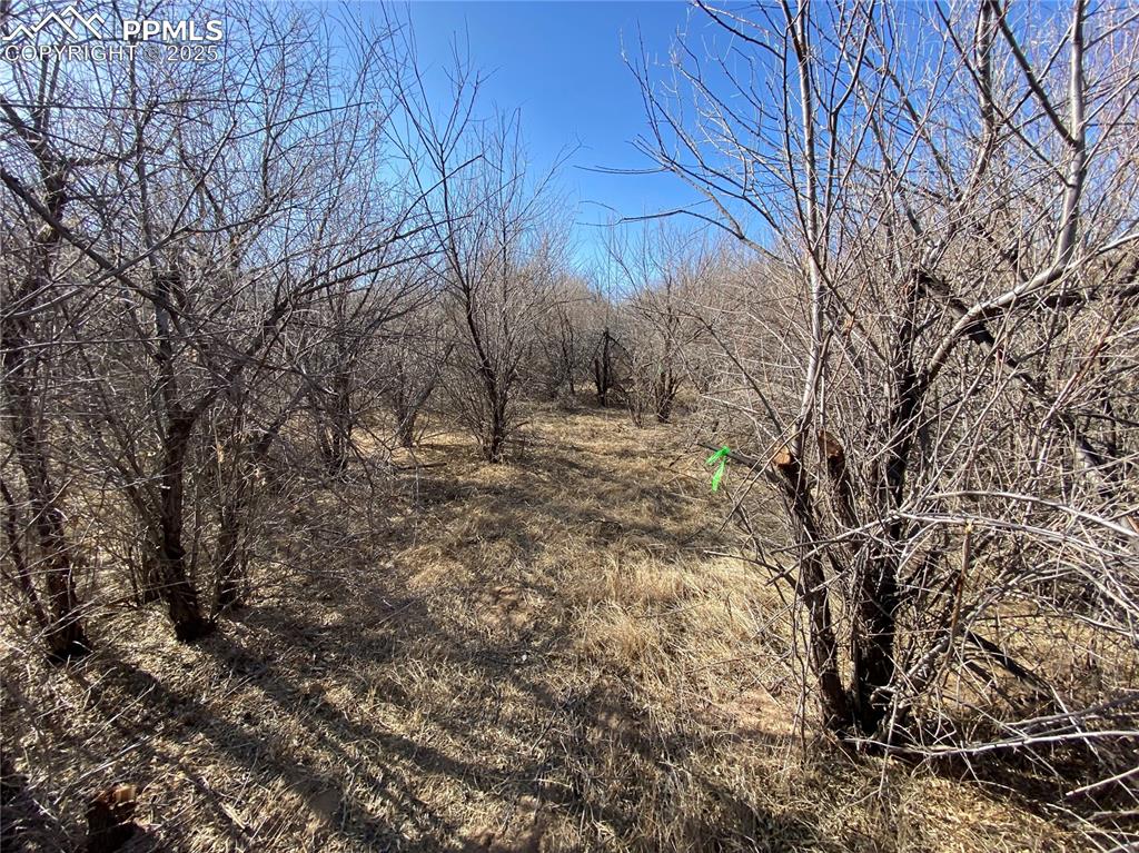 14 Ghost River Ranch Walsenburg CO 80189