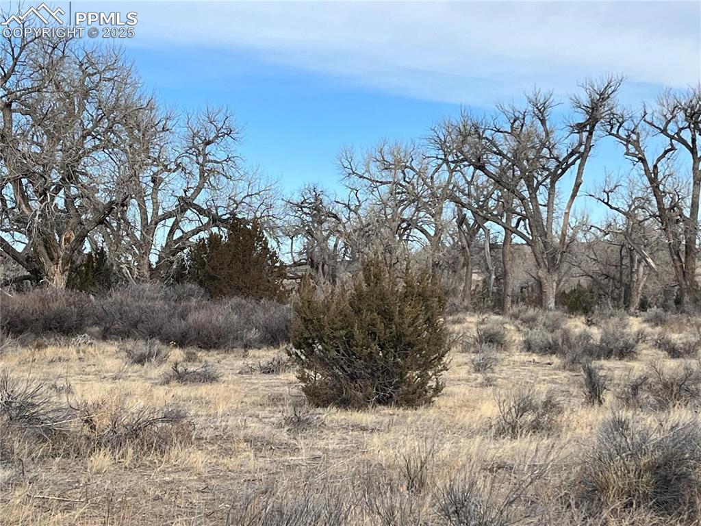 14 Ghost River Ranch Walsenburg CO 80189