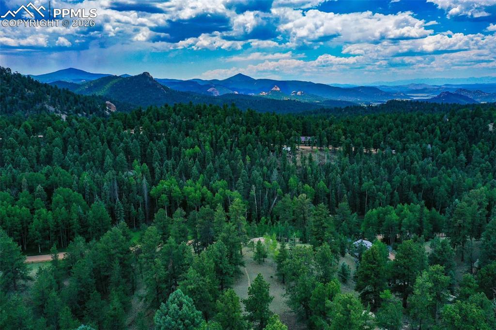549 Spring Valley Lane Florissant CO 80816