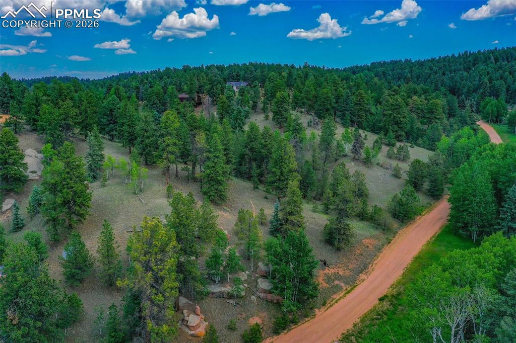 549 Spring Valley Lane Florissant CO 80816