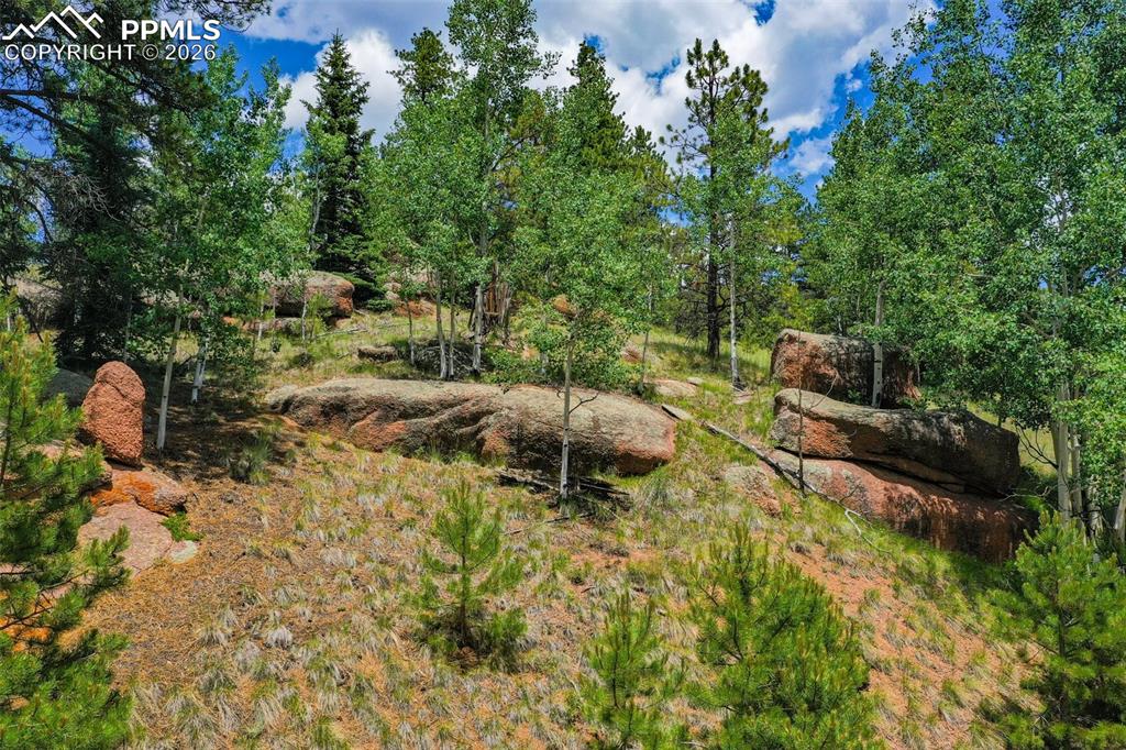 549 Spring Valley Lane Florissant CO 80816