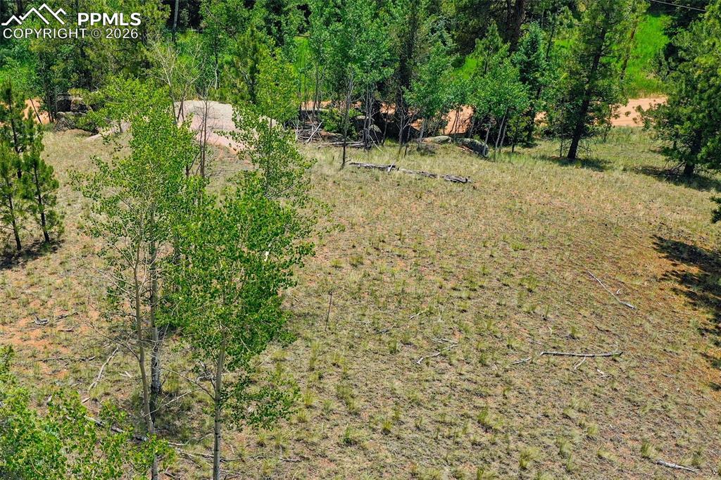 549 Spring Valley Lane Florissant CO 80816