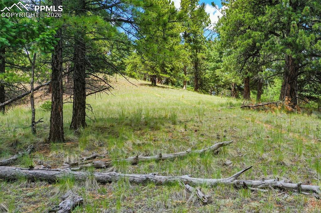 549 Spring Valley Lane Florissant CO 80816