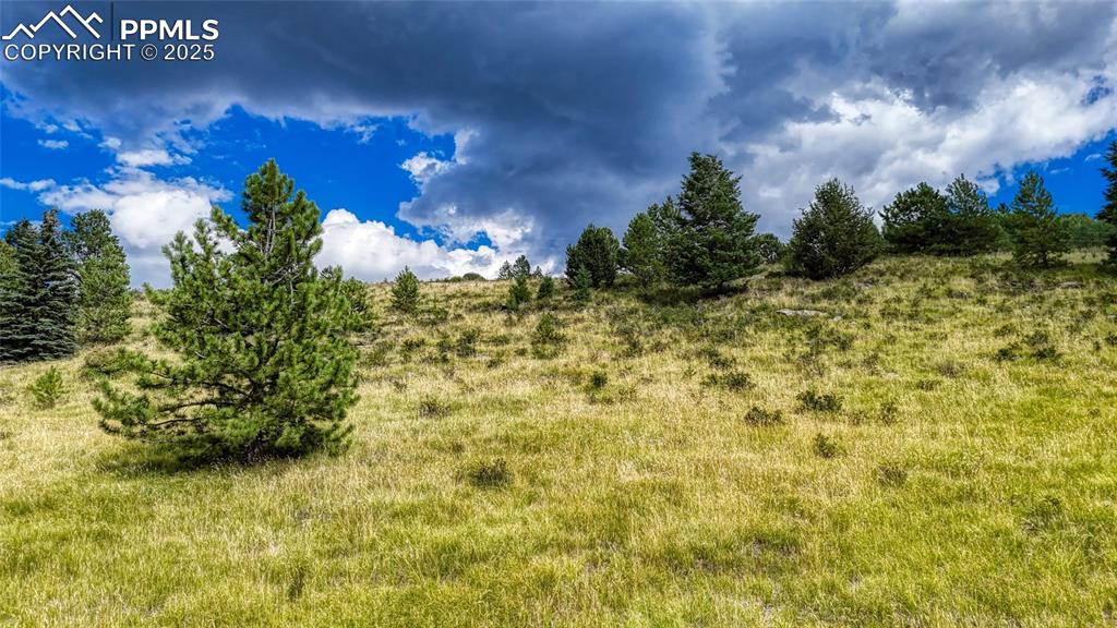 972 Anges Drive Cripple Creek CO 80813