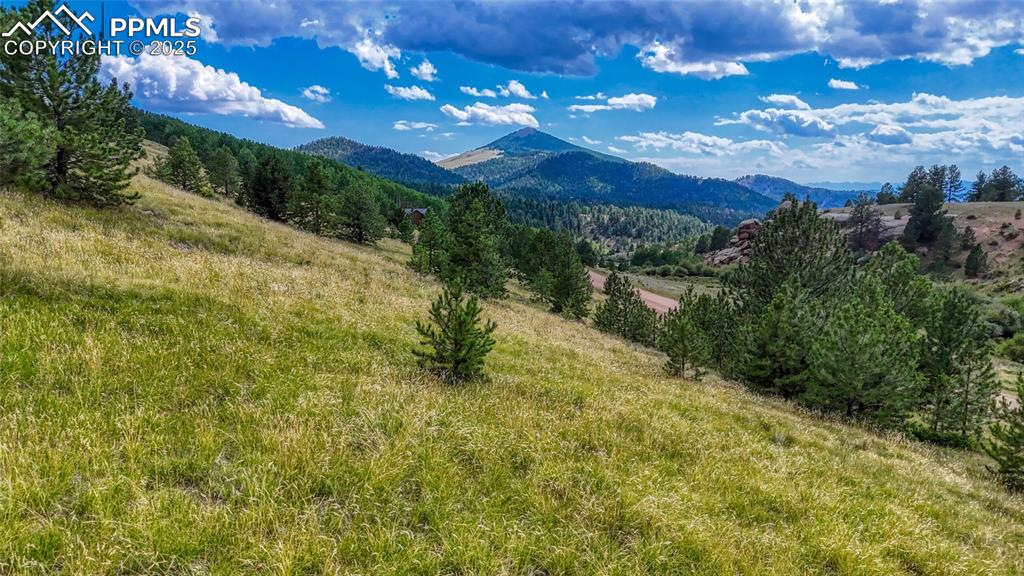 972 Anges Drive Cripple Creek CO 80813