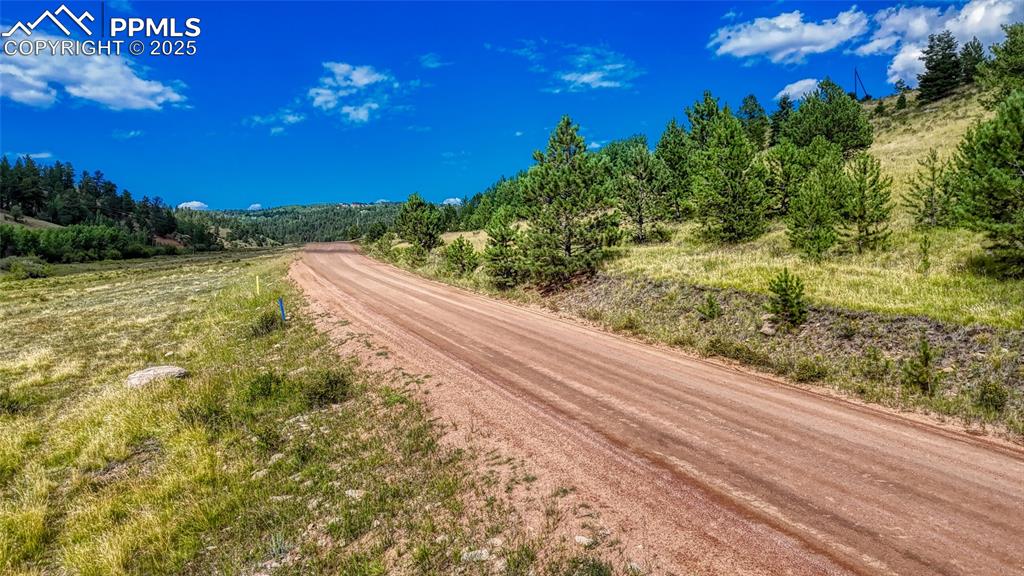 972 Anges Drive Cripple Creek CO 80813