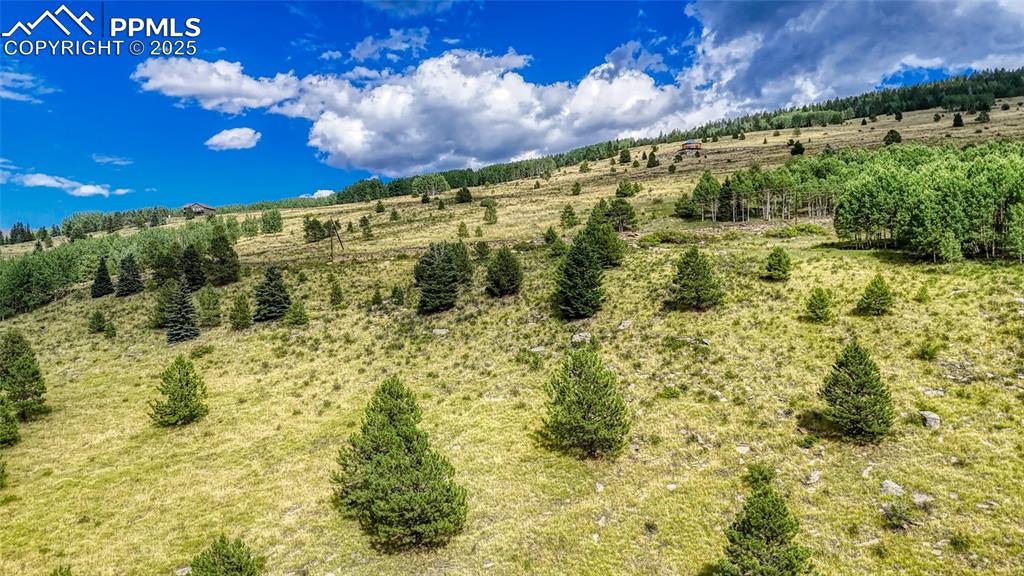 972 Anges Drive Cripple Creek CO 80813