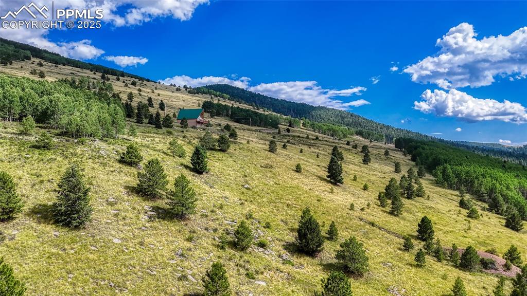 972 Anges Drive Cripple Creek CO 80813