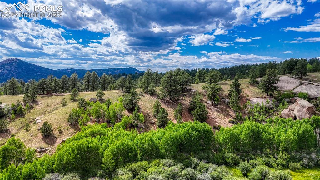 972 Anges Drive Cripple Creek CO 80813