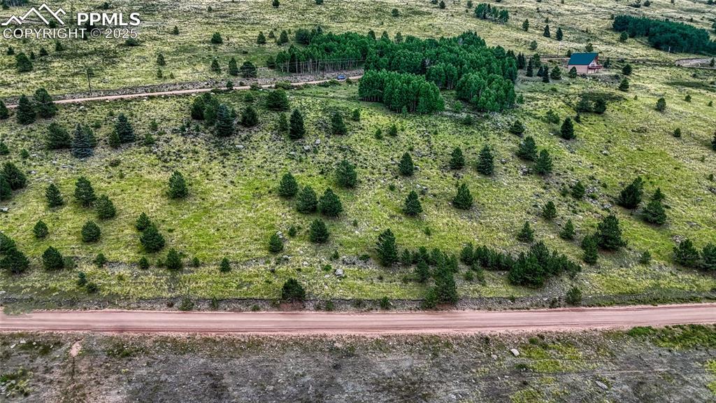 972 Anges Drive Cripple Creek CO 80813
