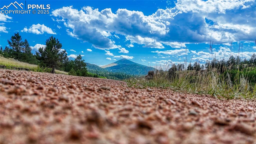 972 Anges Drive Cripple Creek CO 80813