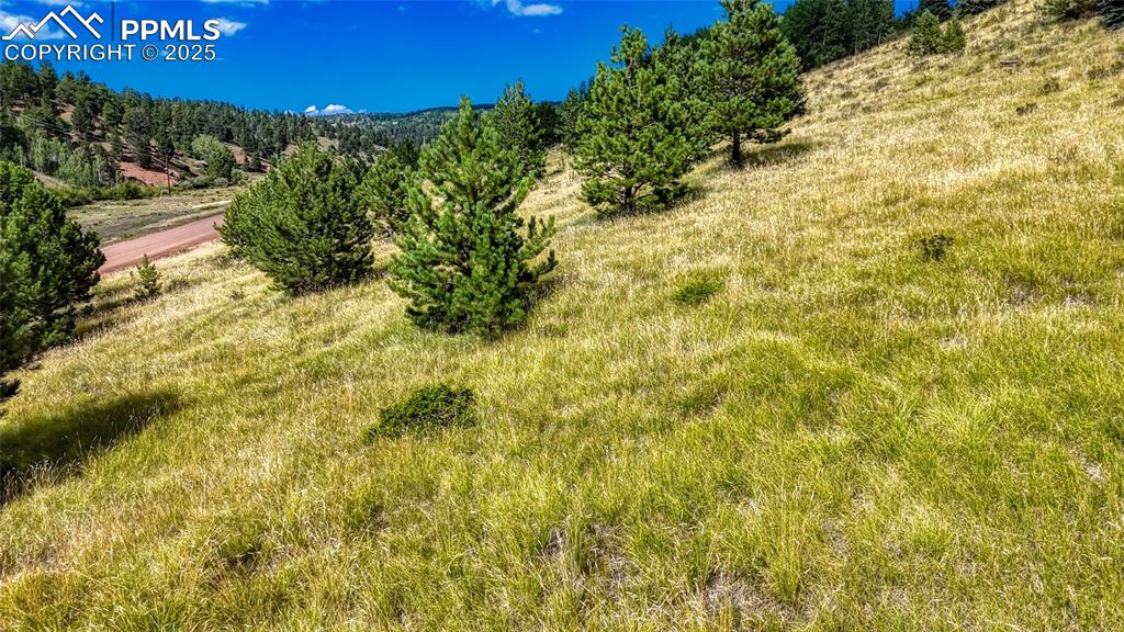972 Anges Drive Cripple Creek CO 80813