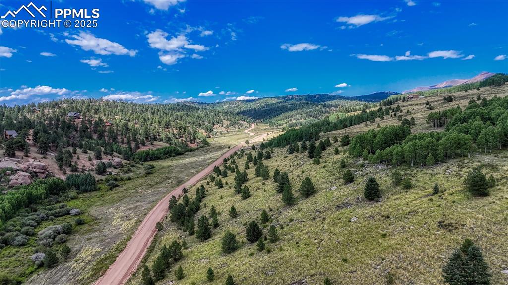 972 Anges Drive Cripple Creek CO 80813