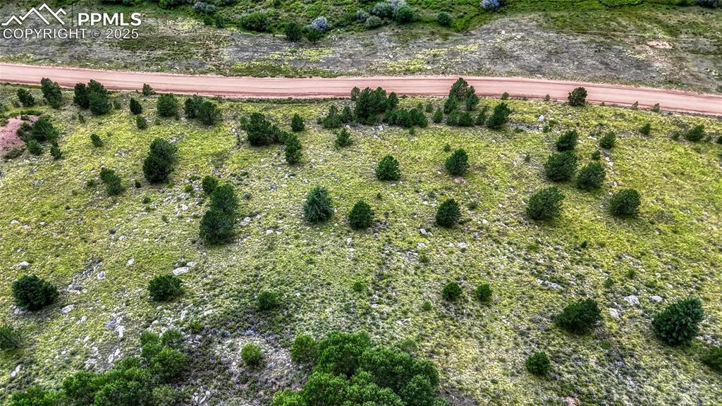 972 Anges Drive Cripple Creek CO 80813