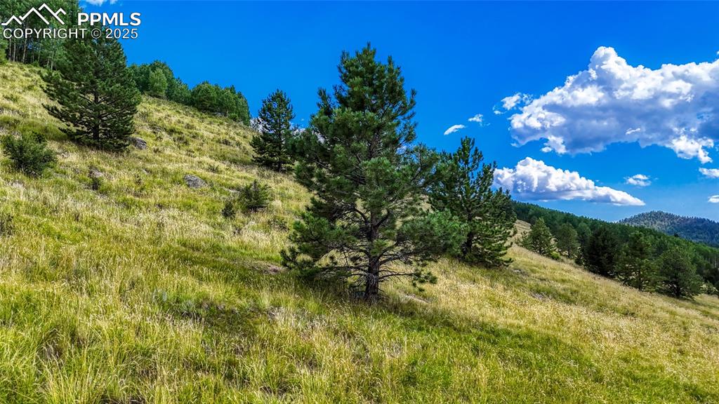 972 Anges Drive Cripple Creek CO 80813
