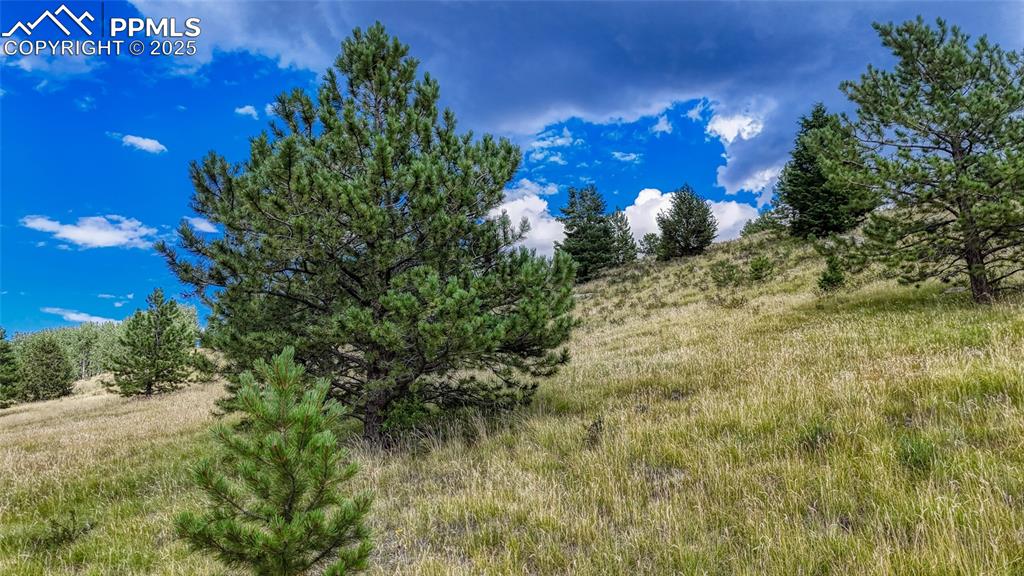 972 Anges Drive Cripple Creek CO 80813