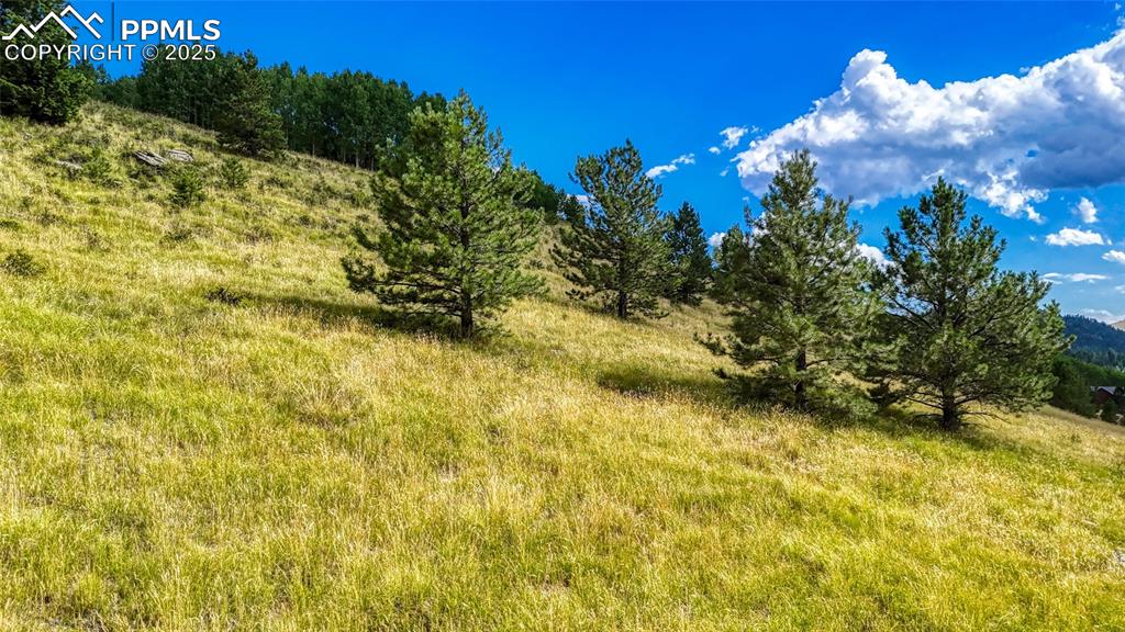 972 Anges Drive Cripple Creek CO 80813