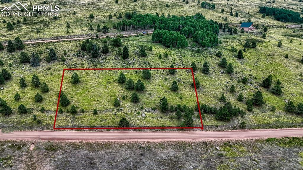 972 Anges Drive Cripple Creek CO 80813