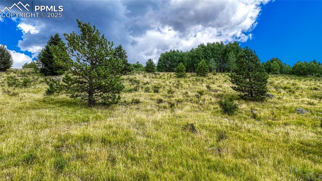 972 Anges Drive Cripple Creek CO 80813