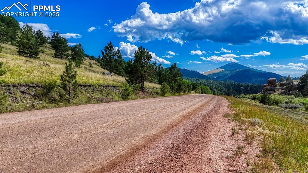 972 Anges Drive Cripple Creek CO 80813