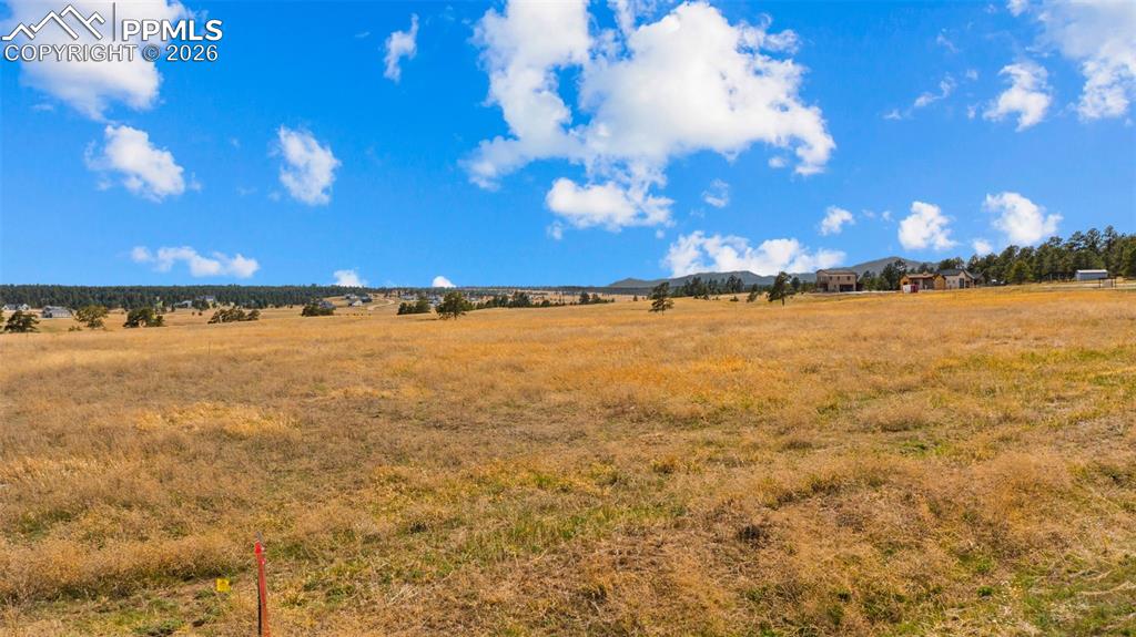 10230 Alamar Way Colorado Springs CO 80908
