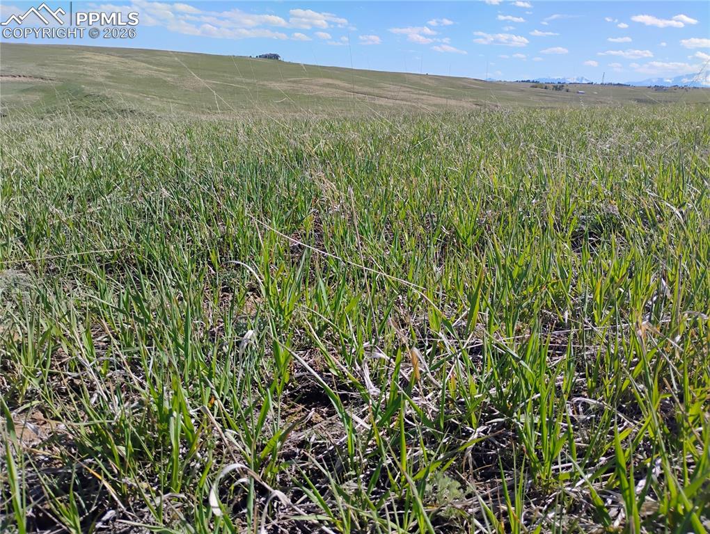5565 Walker Road Colorado Springs CO 80908