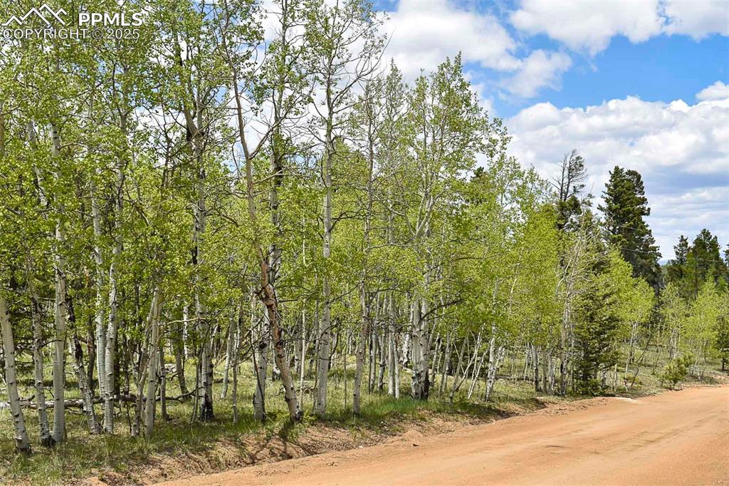 55 Aspen Way Drive Guffey CO 80820