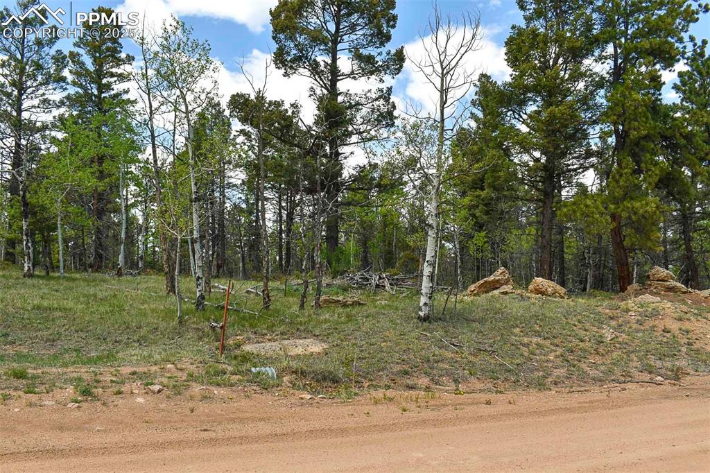 55 Aspen Way Drive Guffey CO 80820