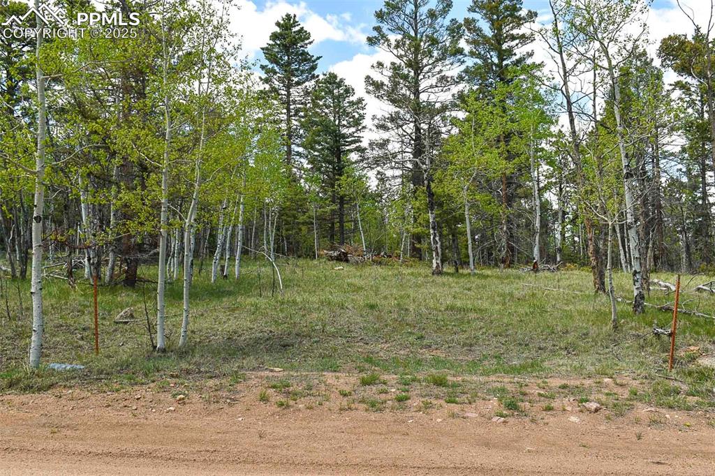 55 Aspen Way Drive Guffey CO 80820