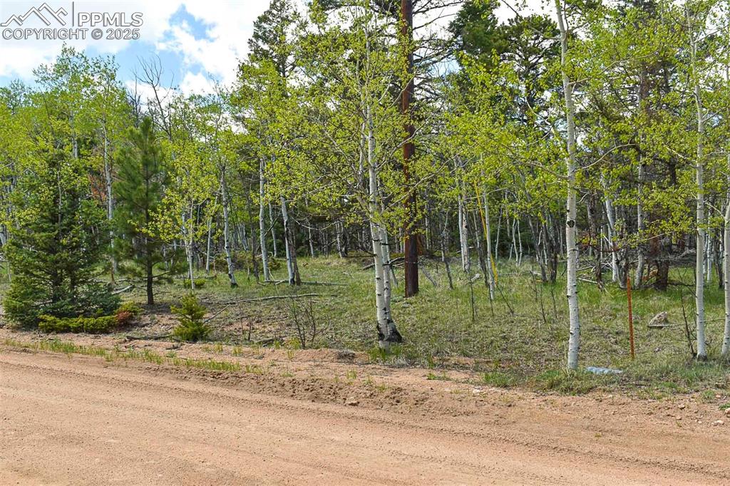 55 Aspen Way Drive Guffey CO 80820