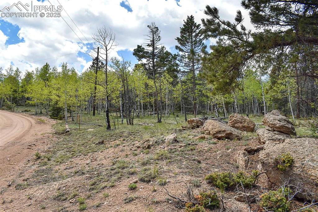 55 Aspen Way Drive Guffey CO 80820