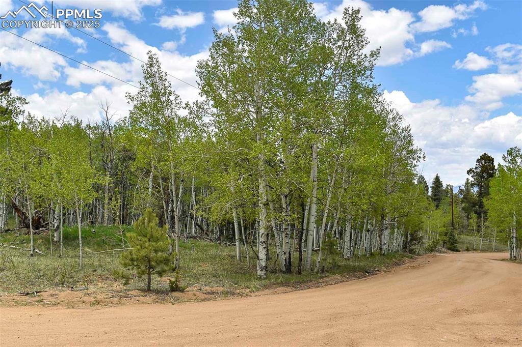 55 Aspen Way Drive Guffey CO 80820