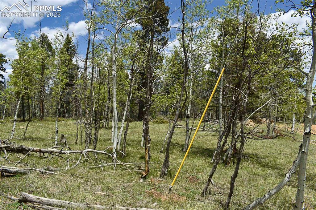 55 Aspen Way Drive Guffey CO 80820