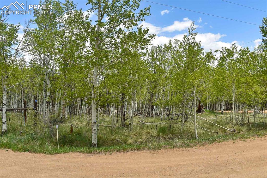 55 Aspen Way Drive Guffey CO 80820
