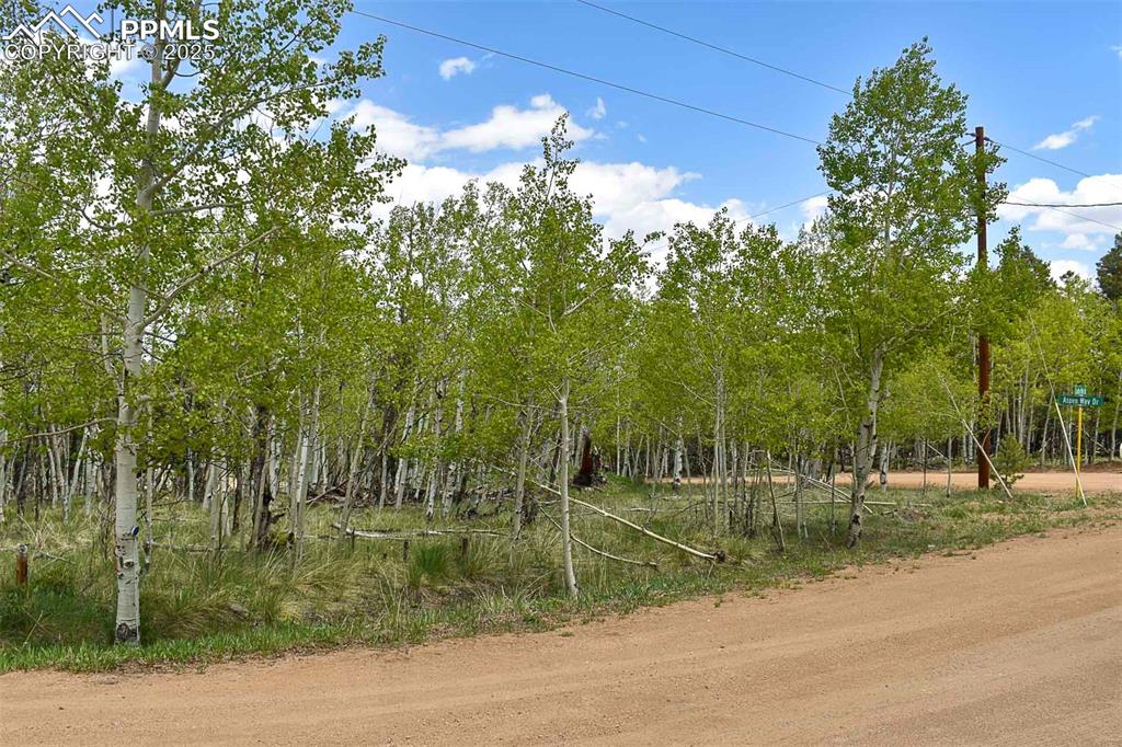 55 Aspen Way Drive Guffey CO 80820