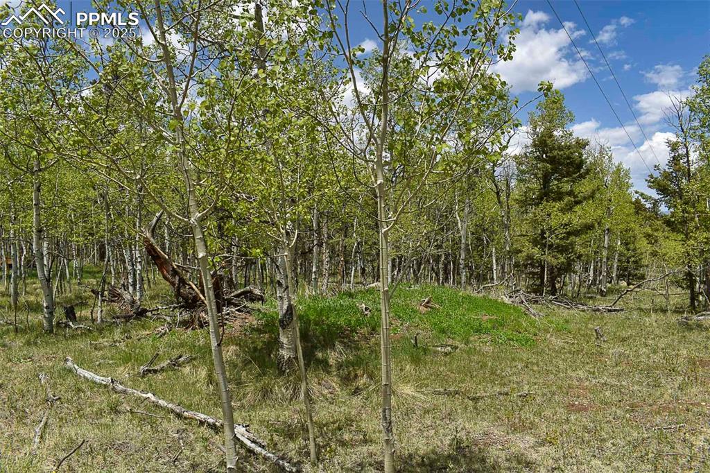 55 Aspen Way Drive Guffey CO 80820