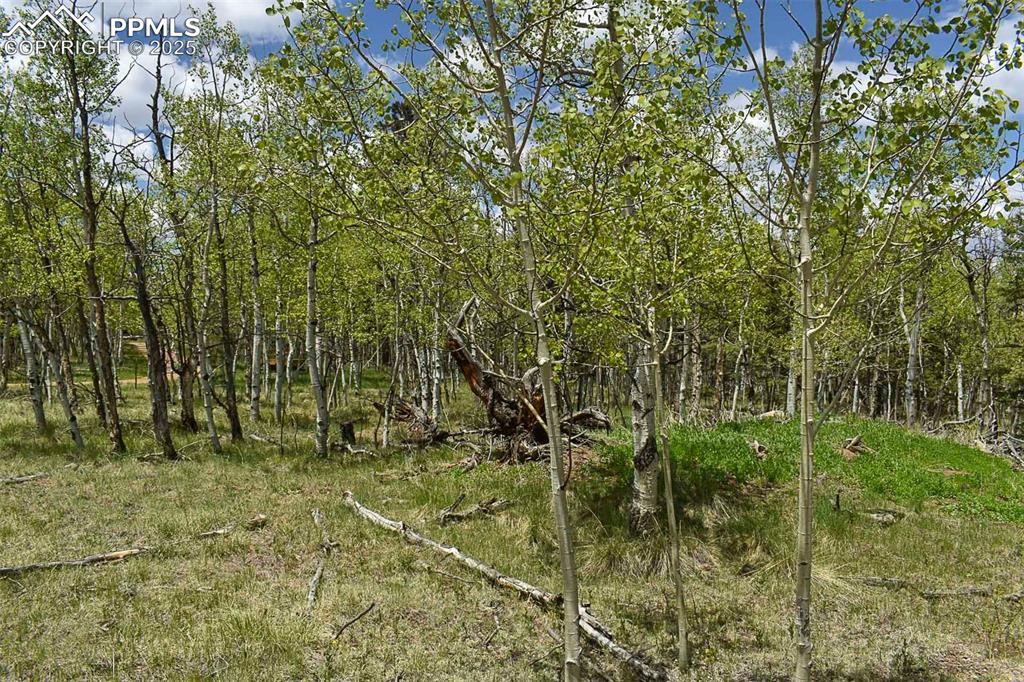 55 Aspen Way Drive Guffey CO 80820